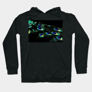 The Peacock of the Night Hoodie